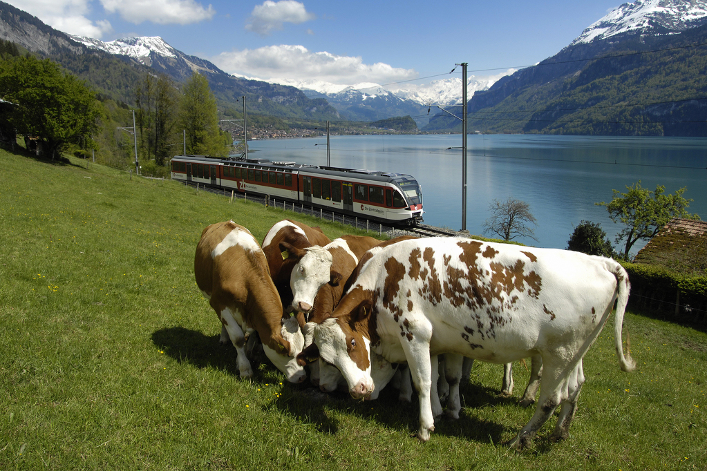 Typický švýcarský obrázek
