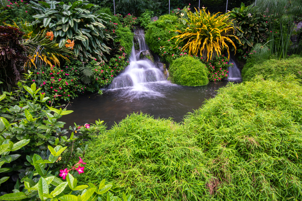 Úchvatná botanická zahrada nás čeká během výletu