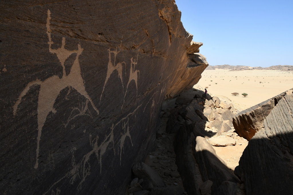 Petroglyfy v nalezišti Bir Hima
