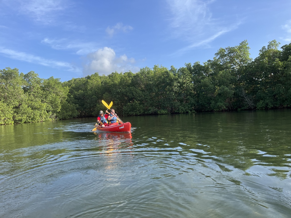 Výlet do mangrovů je nejlepší na kajacích