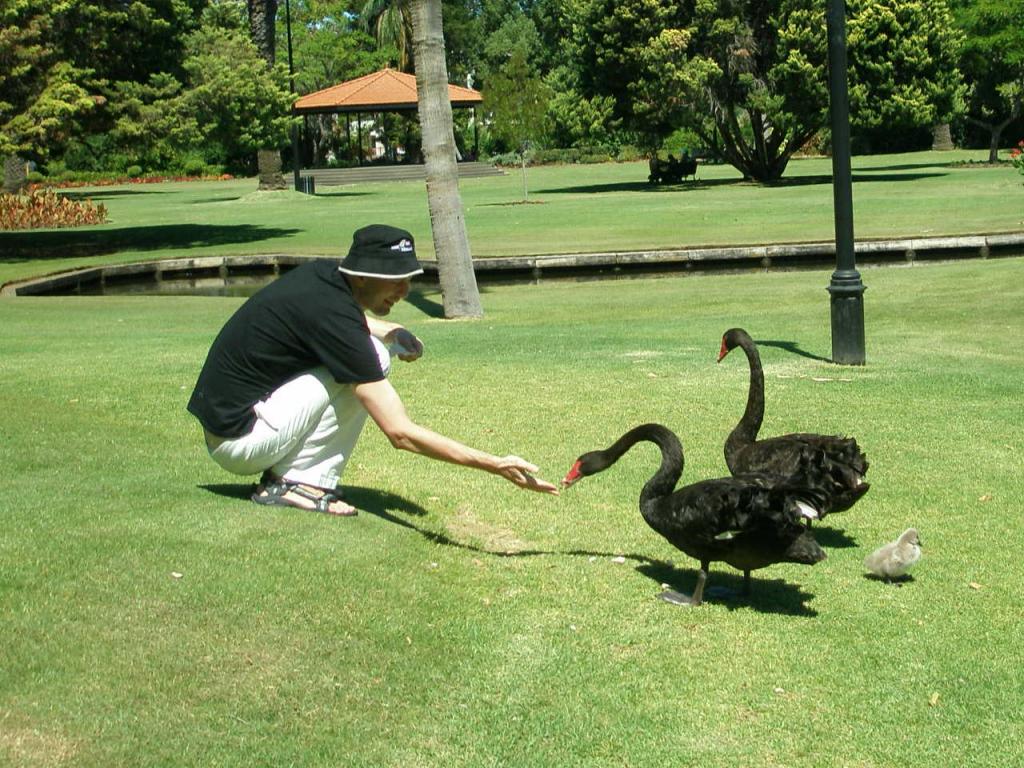 Parky v Perthu nabízejí neopakovatelná přírodní setkání