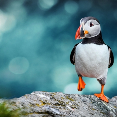 Faerské ostrovy s Milenou Drahozalovou