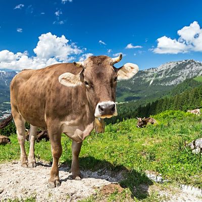 Letní turistika ve švýcarském Appenzellu